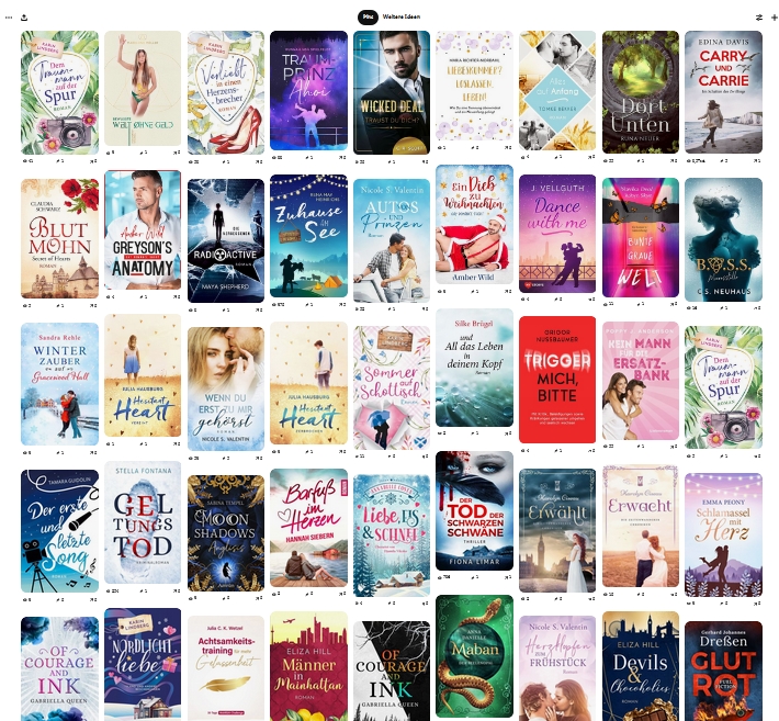 Perfekte Buchcover auf der Pinterest Seite von Casandra Krammer